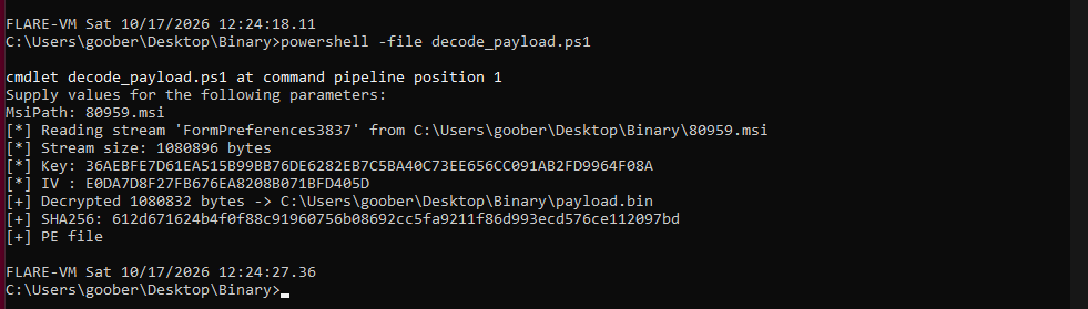 Executing the custom decryptor